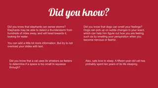 Christmas Slideshow Template — free Google Slides template