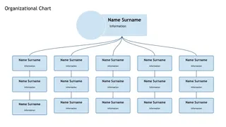 Organizational Chart Template — free Google Slides template
