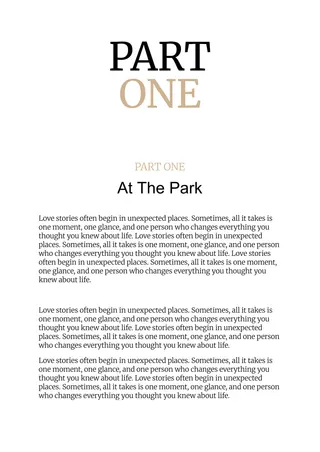 Stylish Novel Book — free Google Docs template