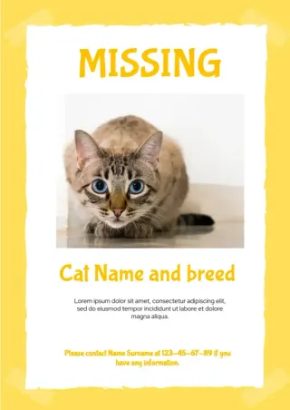 Lost Cat Poster Template — free Google Docs template